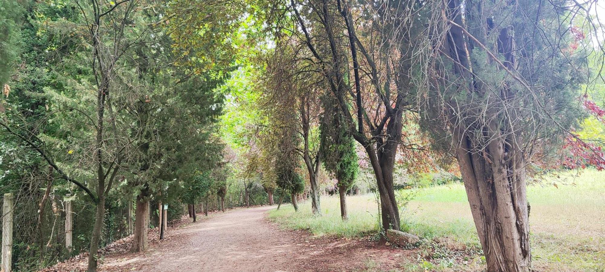 Apartamento Piso Rural Sol Bergueda Aviá Exterior foto